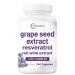 Micro Ingredients Grape Seed Extract 240 Capsules | 3-in-1 Antioxidant Blend with Resveratrol & Red Wine Extracts | Max Strength Polyphenols Supplement | Non-GMO