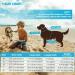 Emust Dog Chimney Swim Vest - Adjustable Rescue Life Jacket for Small Medium & Large Dogs - Blue XL - Perfect for Pool & Beach Safety - Buy Online on GoSupps.com