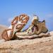 RAX Men's Peak Wolf Waterproof Hiking Boot | Lightweight Backpacking Shoe | Khaki, Size 12 - Buy Online on GoSupps.com