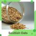 Confectious Gluten-Free Rolled Scottish Oats 100% Natural No additives or Preservatives for Porridge & Cooking 1kg - Buy Online on GoSupps.com