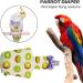 EsEico Reusable Parrots Nappy Pure Cotton Bird Washable Diapers Soft Parrot Nappy Multicoloured Printed Design Adjustable Cotton Fabric Pee Pads for Medium Parrots Cockatiels and Lovebirds. Kiwi - Buy Online on GoSupps.com