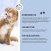 Dogs Pfotenbalsam 50g - Premium Paw Care with Beeswax Shea Butter & Marigold Oil - Wound Healing & Protection for Dogs - Buy Online on GoSupps.com