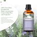 Premium Grade 30ML Rosemary Essential Oil for Diffusers | Pure Aromatherapy Oil for Home | Perfect for Humidifiers & Candle Making - Buy Online on GoSupps.com
