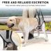 Buy Hamon Portable Dog Harness for Hind Legs - Adjustable Lifting Aid for Older Sick or Post-Operative Dogs (XL) - International Shipping Available - Buy Online on GoSupps.com