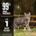 Orijen 3 Pack Original Freeze-Dried Cat Treats 1.25 oz. each - Buy Online on GoSupps.com
