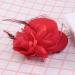 FRCOLOR Top Hat Hair Clip Feather Flower Decor Clips Fascinator Hat Veil Red Mini Top Hat for Tea Party Wedding Party - Buy Online on GoSupps.com