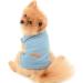 Paidful Soft Cotton Vest T-Shirt for Small to Medium Dogs & Cats - Summer Sleeveless Breathable Puppy Clothing - Blue XXL (Back Length: 40cm Bust: 52cm) - Buy Online on GoSupps.com