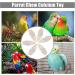 6 Pieces Bird Cuttlebone Toys Parrot Chew Calcium Toy Chewing Cuttlefish Bone with Metal Holder Bird Pet Molar Toy for Parrots Cage Birds Reptiles Tortoises Snails - Buy Online on GoSupps.com