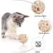 Shengruili Sisal Ball Catz - 6 Eco-Friendly Interactive Cat Toy Balls for Playful Pets - Buy Online on GoSupps.com