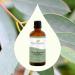 Buy Plant Therapy Eucalyptus Globulus Essential Oil 100 mL - 100% Pure Undiluted Ideal for Diffuser Skin Hair Aromatherapy and Clear Breathing - Buy Online on GoSupps.com