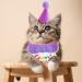 Shop Purple Dog Birthday Bandana & Cat Birthday Hat | Perfect Pet Party Gear for Happy Celebrations! - Buy Online on GoSupps.com