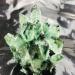 1pc Green Phantom Quartz Crystal Cluster Specimen Suitable for Home Crystal Cluster - Buy Online on GoSupps.com