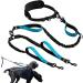 KAYTOW Hands Free Double Dog Leash Dual Dog Leash for Medium and Large Dogs Dog Leash for 2 Dogs with Padded Handles Reflective Stitches No Pull Tangle Free (Blue for 2 Dogs)