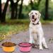 Slson 2-Pack Foldable Travel Dog Bowls - Portable Silicone Water Bowl for Cats & Dogs - 1000ml with Lid & Hook - Perfect for Hiking & Camping (Orange & Pink) - Buy Online on GoSupps.com