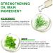 Rosemary-Mint Oil Hair Growth | Strengthening Scalp Oil | 60 ml for Blood Circulation & Regrowth - Buy Online on GoSupps.com