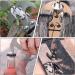 Buy Eihi Foldable Climbing Hook Grappling Hook - Ultimate Climbing Equipment for Outdoor Survival | International Shipping Available - Buy Online on GoSupps.com