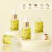 ANAiRUi Pore Minimizer Serum Minimizer & Reducer Pore Pore Control Minimizing Shrinking Tightening Pores 100% Vegan 30ml - Buy Online on GoSupps.com
