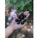 ZenQ Tumbled Black Obsidian Stones 1/2 lb - Natural Healing Crystals for Wicca & Reiki Authentic Mexican Obsidian - Buy Online on GoSupps.com