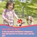 Hetoo Interactive Dog Toys | Durable Football with Gripping Bottles | Perfect for Small & Medium Breeds | Water Toys for Indoor & Outdoor Play - Large Size 3 Angry-Chick - Buy Online on GoSupps.com