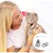 Buy Magrimaxio 10-Piece Adjustable Cat Collars | Personalized Reflective Collars with Safety Clasp & Bell | International Shipping - Buy Online on GoSupps.com