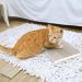 Way Basics Premium Cat Scratcher - Reversible Scratch Pad with Silvervine Organic Super Catnip - White - Buy Online on GoSupps.com