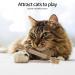 Newoutset 4 Pcs Natural Silvervine Cat Chew Sticks with 3 Pcs Cat Mouse Toys Kitten Catnip Chew Toys for Indoor Cats Cleaning Teeth Teething Stress Release Toys Sticks - Buy Online on GoSupps.com