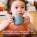 ROCCED Silicone Training Cup for Infants | 2 Handles, Easy Grip | Toddler Learning Cup | Baby Drinking Open Cups | 6 Months+ | 150ml/5oz - Sage - Buy Online on GoSupps.com