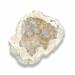Crystal Hole Natural White Geode Rainbow Titanium Coated Quartz Cluster Specimen Angel Halo Crystal Hole