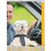 Small Doll Glasses: 12 Pairs Metal Wire Rim Sunglasses for Crafts and Dress Up - Clear Lens Eyewear for Dolls, Pets, Costume Cosplay - Buy Online on GoSupps.com
