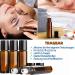 Shengo 10ml Roll-On Glass Bottles Set | 20 Essential Oil Bottles with Funnel Syringe & Sticker - Perfect for DIY | International Shipping - Buy Online on GoSupps.com