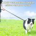 X XBen Long Dog Leash - 3m to 33m Reflective Leash for Medium & Large Dogs | Robust Lockable Carabiner & Convenient Hand Loop | Ideal for Training & Running - Buy Online on GoSupps.com