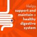 Align DUALBIOTIC PREbiotic + PRObiotic Gummies Helps Support a Healthy Digestive System Made With Naturally Fruit Flavours* 60 Count - Buy Online on GoSupps.com