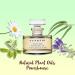 SUND RI Nighttime Nourishing Oil - Hydrating Beauty Elixir for Radiant Skin | International Shipping Available - Buy Online on GoSupps.com