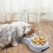 3-in-1 Triple Cat Bowl Set with Mat, Scoop & Automatic Water Bottle - Raised 15 Tilted Design for Cats & Small Dogs - Silver Grey - Buy Online on GoSupps.com