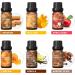 HIQILI Fragrance Oil Spice Set - 6 Premium Candle Oils for Fall Scents Cinnamon, Apple Cider, Pumpkin, Vanilla, Harvest Spice, Fall Leaf - Buy Online on GoSupps.com
