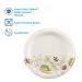 Georgia-Pacific Dixie 8.5 Medium-Weight Paper Plates - 300 Count | Pathways Design - Buy Online on GoSupps.com