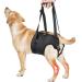 PZRLit Dog Lift Harness - Adjustable Mobility Aid Sling for Large Dogs' Hind Legs Perfect for Elderly and Disabled Dogs - Hip & Back Leg Support Vest for Walking Assistance Large