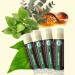 USDA Organic Eucalyptus Mint Lip Balm 4-Pack - Beeswax & Coconut Oil for Dry Lips | Earth's Daughter - Buy Online on GoSupps.com