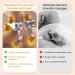 Onenine Shiatsu Neck & Shoulder Massager with Heat | 3D Deep Tissue Relief | 6 Silicone Heads for Muscle Pain Relief - Buy Online on GoSupps.com