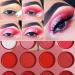DELANCI Red Pink Eyeshadow Palette - 12 Color Professional Matte Shimmer High Pigmented Eye Makeup, Waterproof & Vegan - Buy Online on GoSupps.com