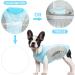 Buy XXL Blue Dog Cooling Vest - Breathable Mesh Jacket for Summer | Reflective Strips for Small to Medium Dogs - Buy Online on GoSupps.com