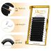 QueWel Self-Fan Eyelids Volume Eyelash Extensions - 0.03 D Curl 15mm | Easy Fan Lashes for Volume Technology - Buy Online on GoSupps.com