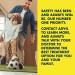Advil Pain Reliever 200mg - 100 Coated Tablets for Headache, Backache, Menstrual & Joint Pain Relief - Buy Online on GoSupps.com