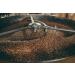 Caf grain 1kg - 100% Arabica - Mexique quitable bird friendly - Intensit 8 - Torr fi Artisanalement en France - 100% biologique - Monexpresso Mexique Bird Friendly 1 kg (Lot de 1) - Buy Online on GoSupps.com