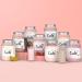 Cute Nutrition Cookies & Cream Meal Replacement Shake - High Protein with Vitamins & Minerals - 500g + Bonus E-book by TummyTox - Buy Online on GoSupps.com