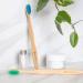 Eco-Friendly Bamboo Toothbrushes - BPA Free Nylon Bristles in 4 Colours - Individually Packaged - Pack of 20 - Buy Online on GoSupps.com