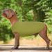 Shop Hjumarayan Thin Dog Sweater for Medium-Sized Dogs | Washable Striped Fleece Shirt for Corgis & Dachshunds - Buy Online on GoSupps.com