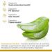 Premier Research Labs Aloe Powder - Aloe Vera Powder Aloe Vera Drink Mix for Skin and Digestion Aloe Barbadensis Leaf Extract with Acemannan Freeze Dried - Mixed Berry 7.4 Oz (30 Servings) - Buy Online on GoSupps.com