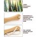Foot Scrubber for Dead Skin with Bamboo Handle Brown - Buy Online on GoSupps.com