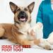 HEALQU Self Adhesive Bandage Wrap 12-Pack Cohesive Elastic Tape for Sports Waterproof Medical Wrap for Wrist & Ankle Flexible Vet Wrap for Dogs 1 x 5 Yards Each - Buy Online on GoSupps.com